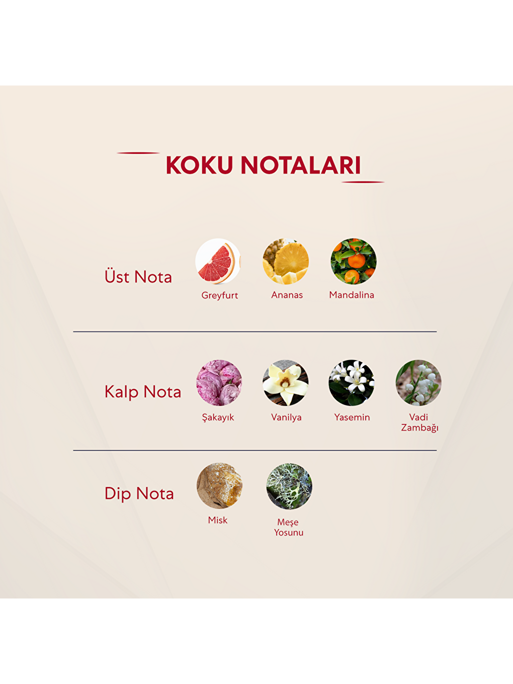 Kadın Parfüm Çiçeksi 50ml Edp No:384-2