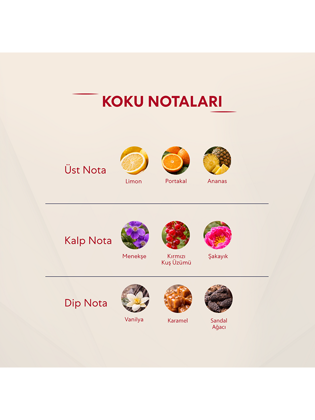 Kadın Parfüm Çiçeksi 50ml Edp No:144-2