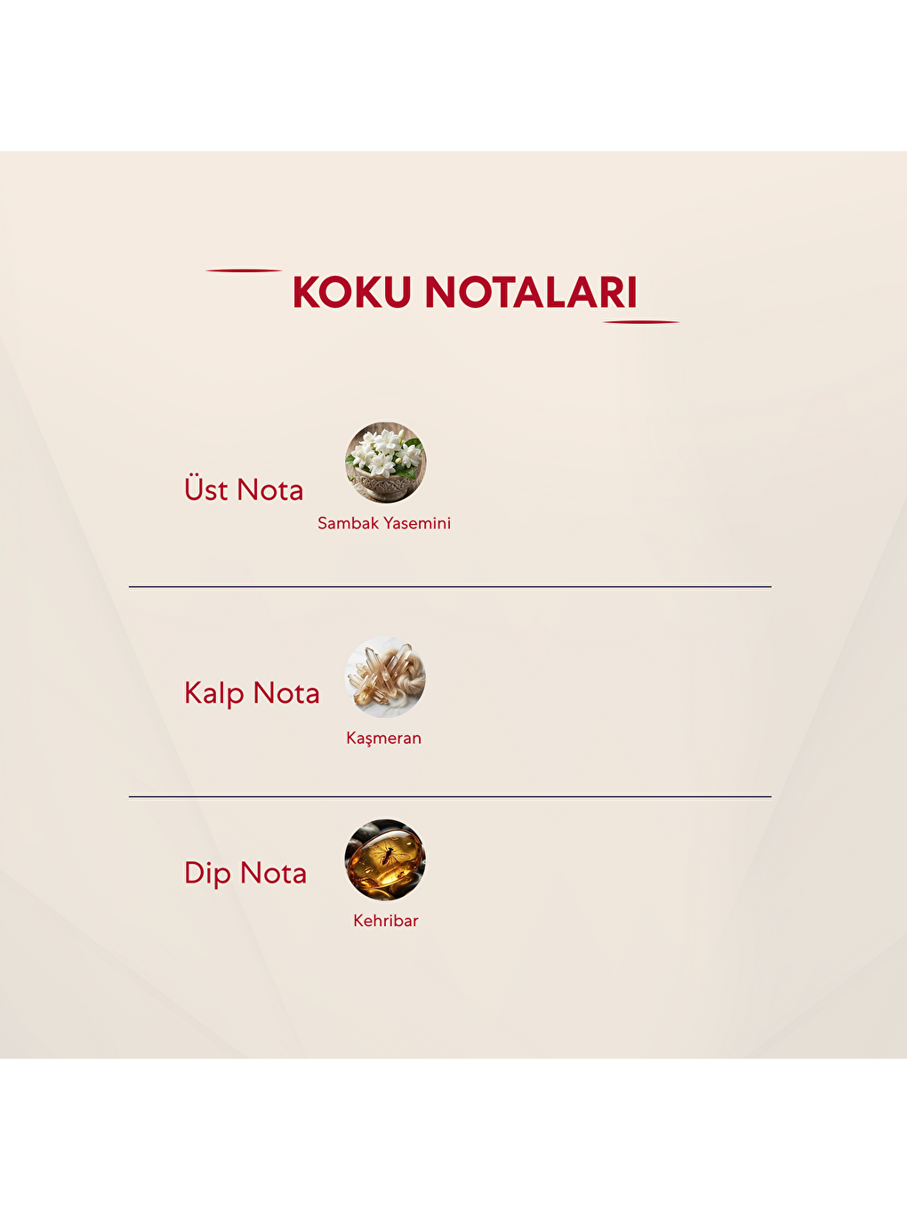 Kadın Oriental Parfüm 50ml No:102-2