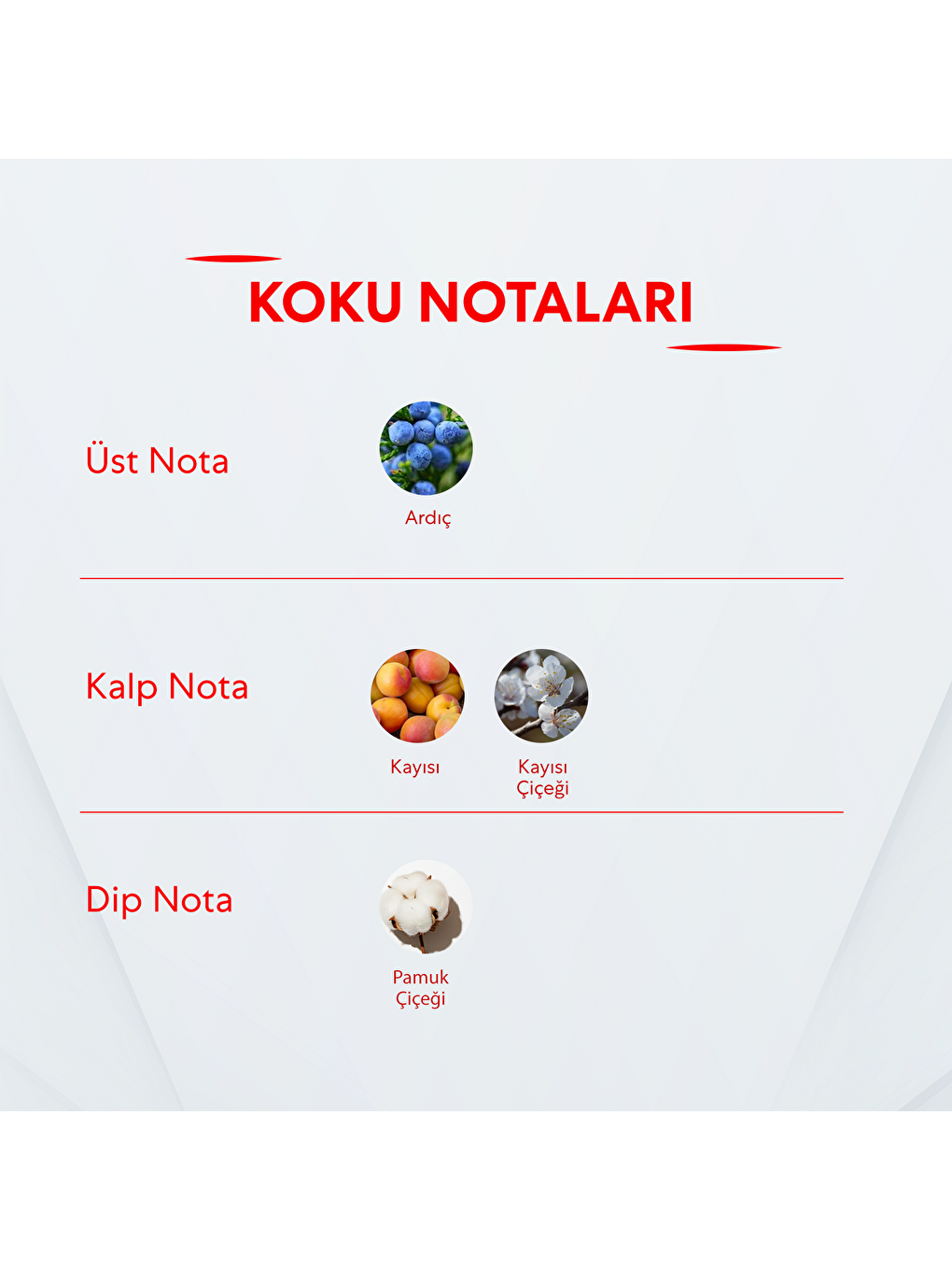 Kadın Parfüm 50ml Couple In Love-1