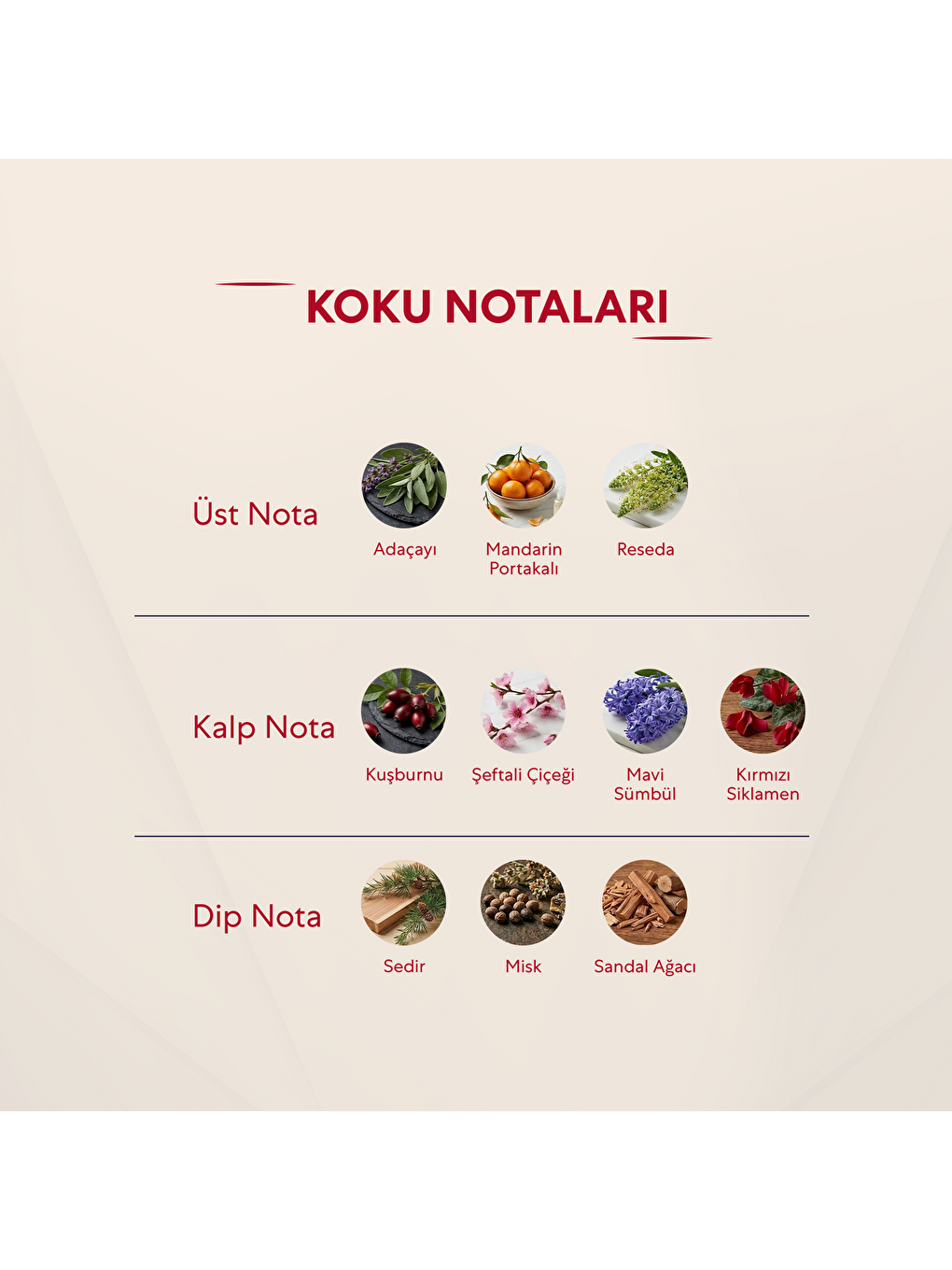 Kadın Parfüm Çiçeksi 50ml No:119-2
