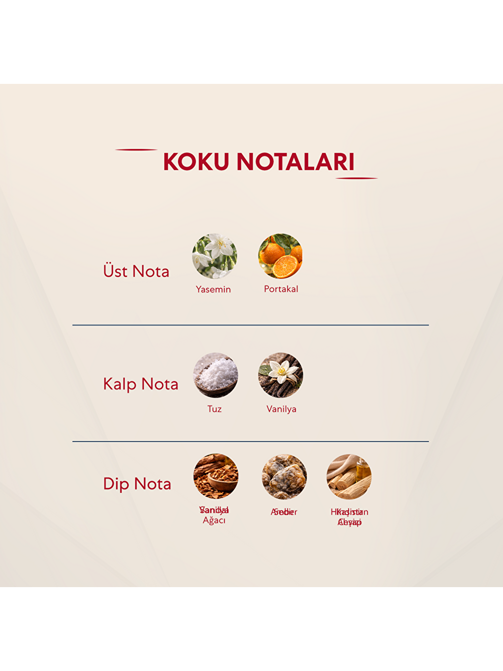 Kadın Parfüm Çiçeksi - 50ml Edp No:307-2