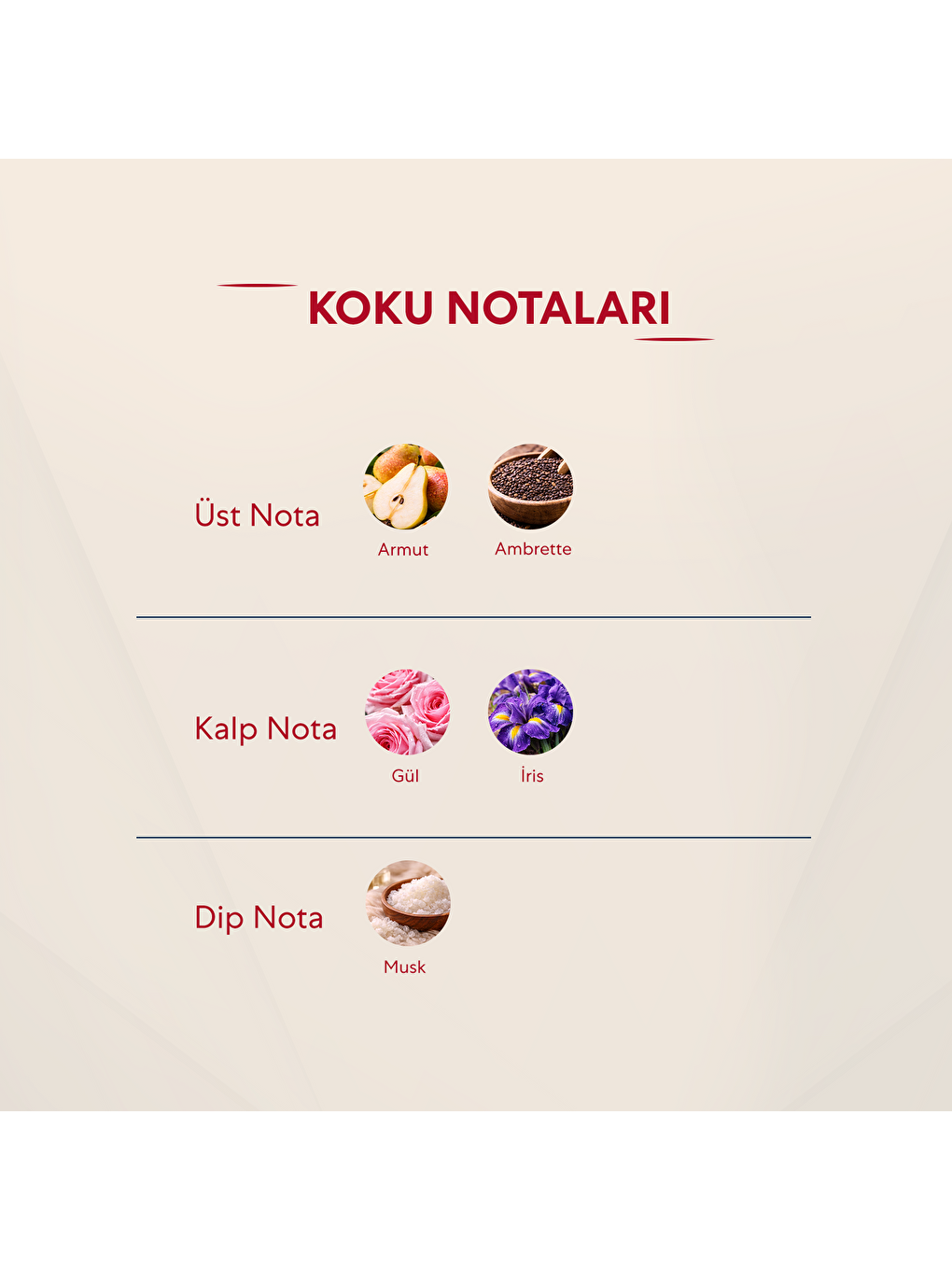 Kadın Parfüm Çiçeksi 50ml Edp No:111-2