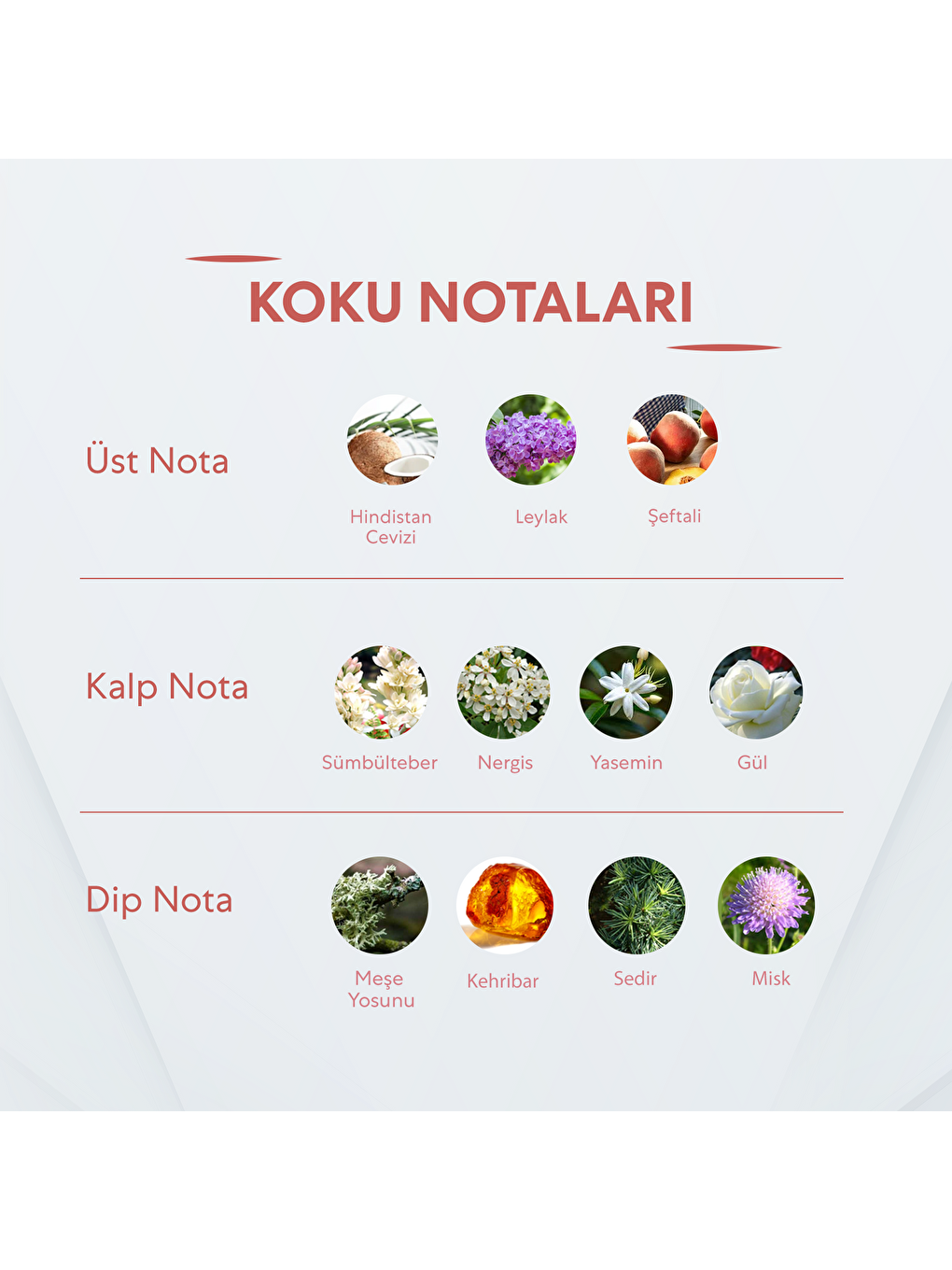 Kadın Parfüm - 50ml-1