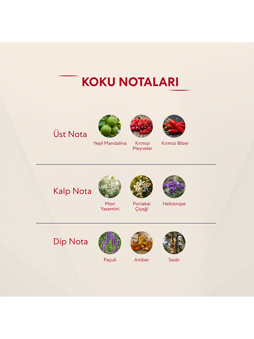 112 Kadın 50ml Parfüm Edp Floral-2