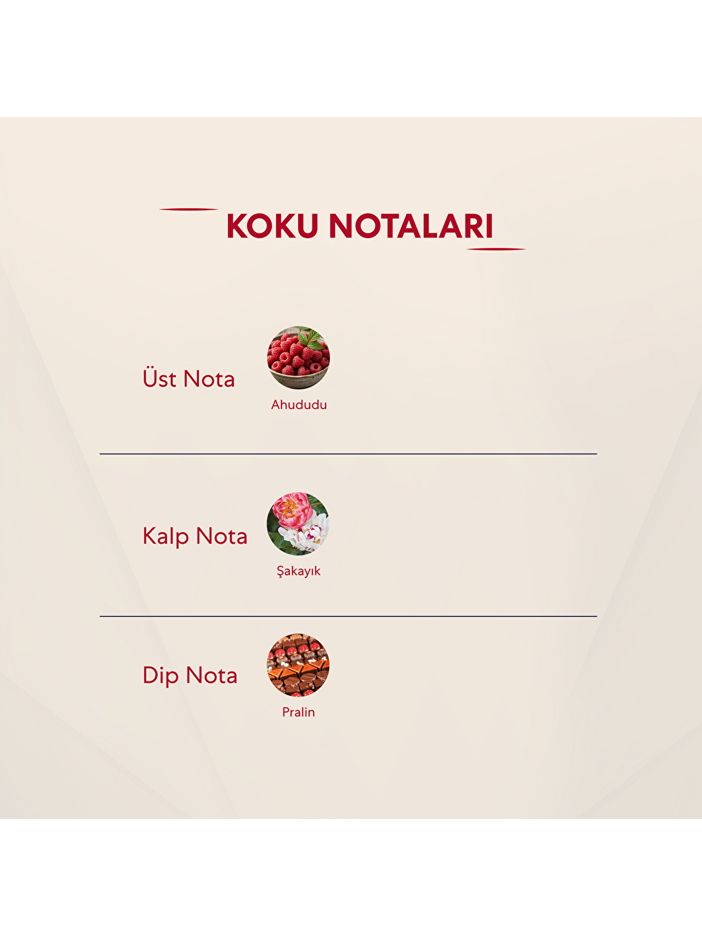 Kadın Fresh Parfüm 50ml No:385-2