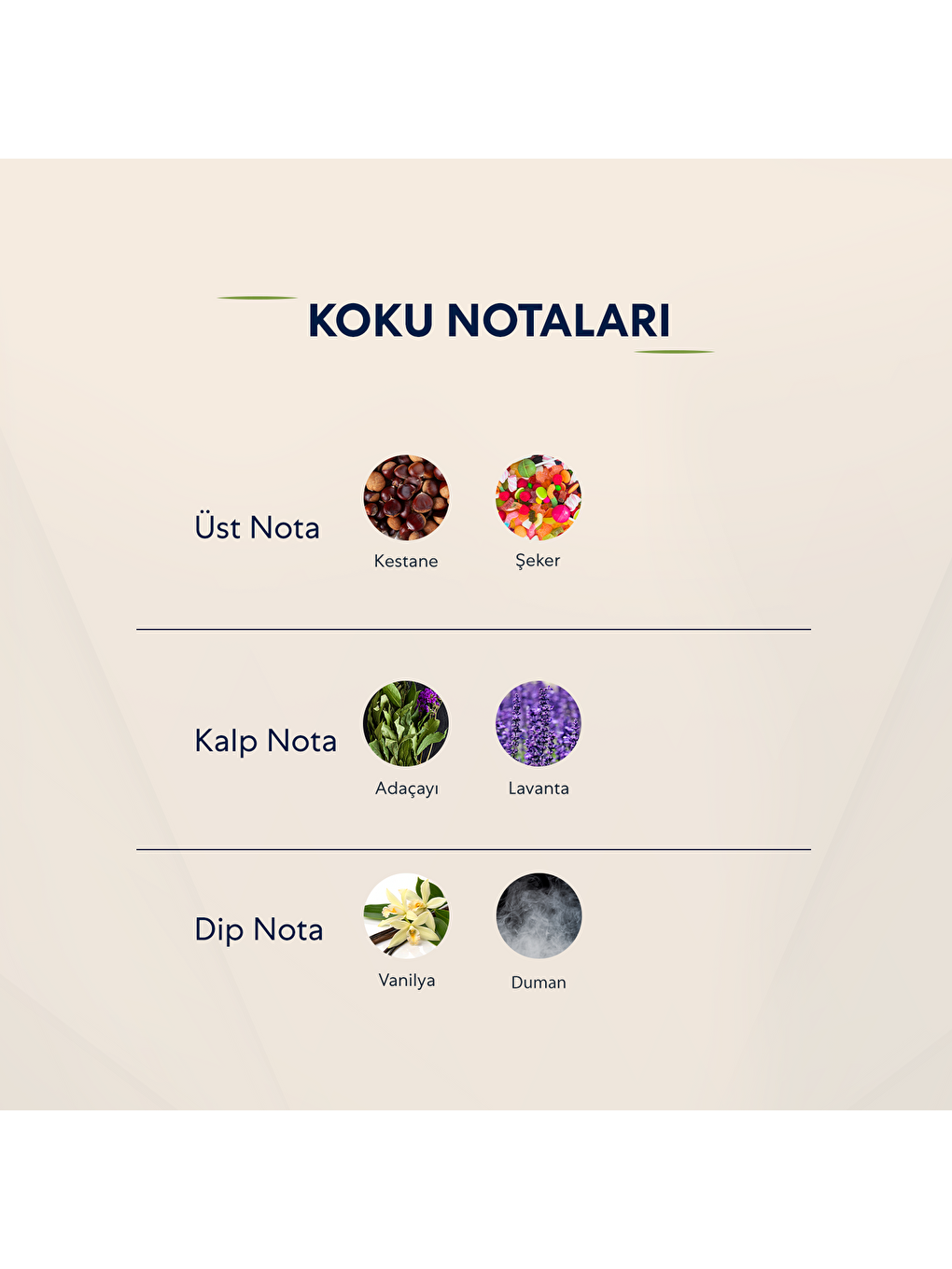 Erkek Fresh Vücut Spreyi 210ml No:709-2