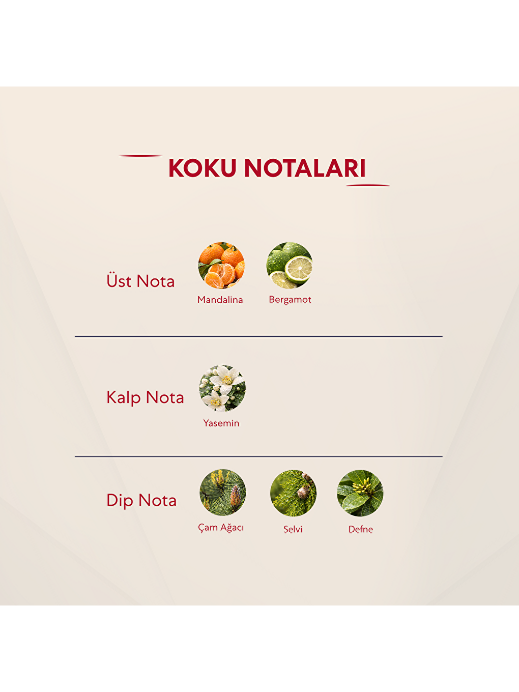 Kadın Parfüm Çiçeksi 50ml Edp No:236-2