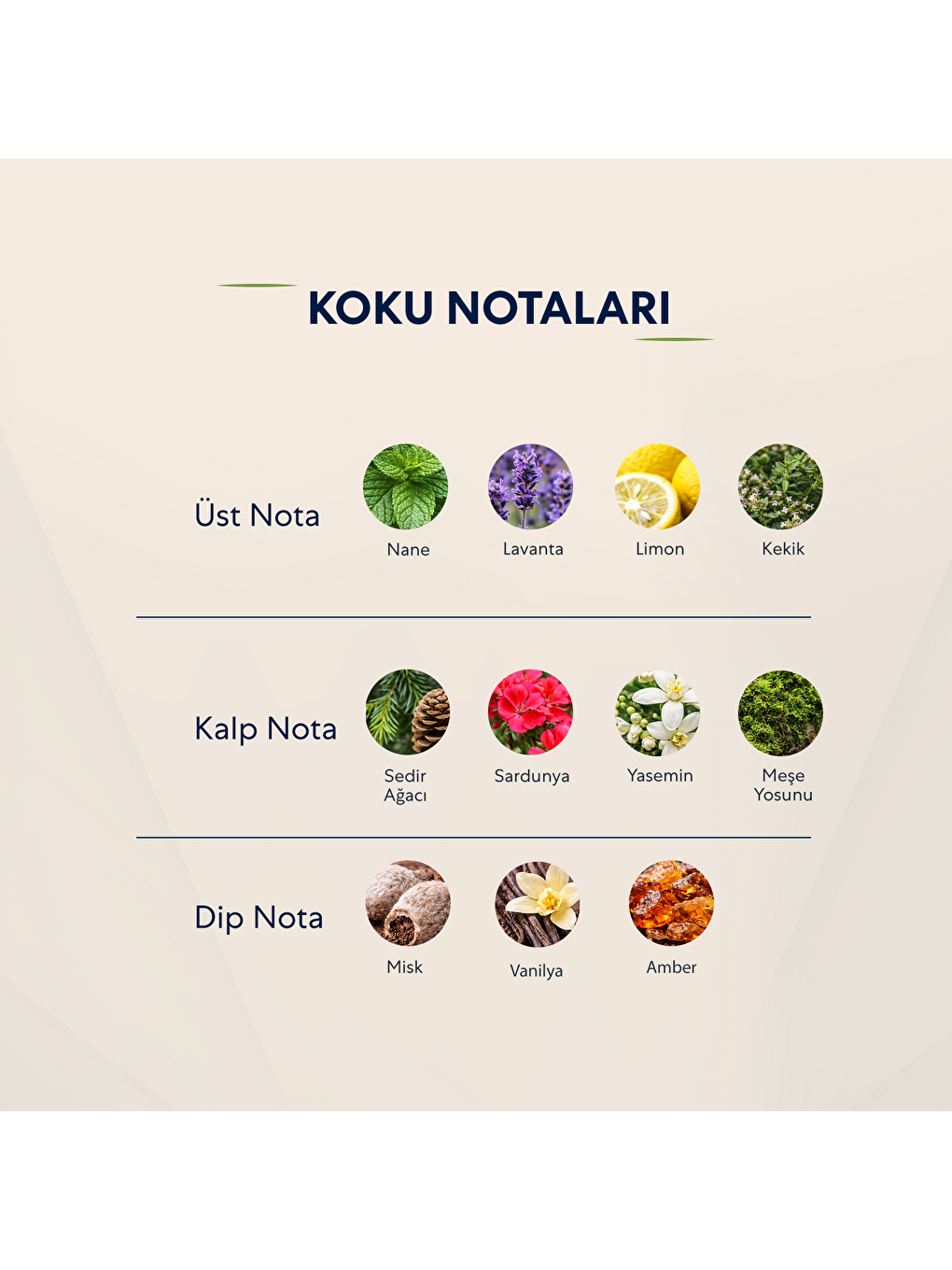 517 Erkek 50ml Parfüm Edp Woody-2