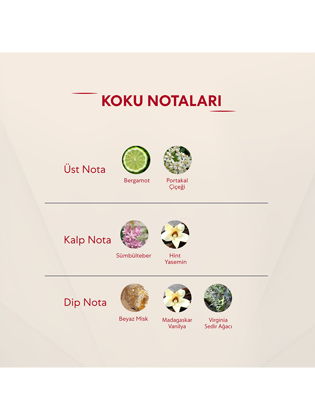 Kadın Parfüm Çiçeksi - 50ml Edp No:153-2