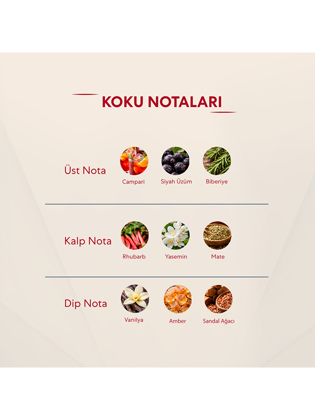 463 Kadin 50 Ml Parfüm Edp Oriental-2