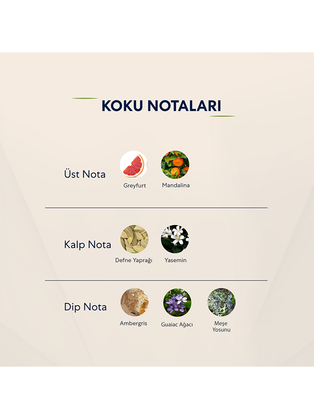 Erkek Parfüm Fresh Edp 50ml No:561-2