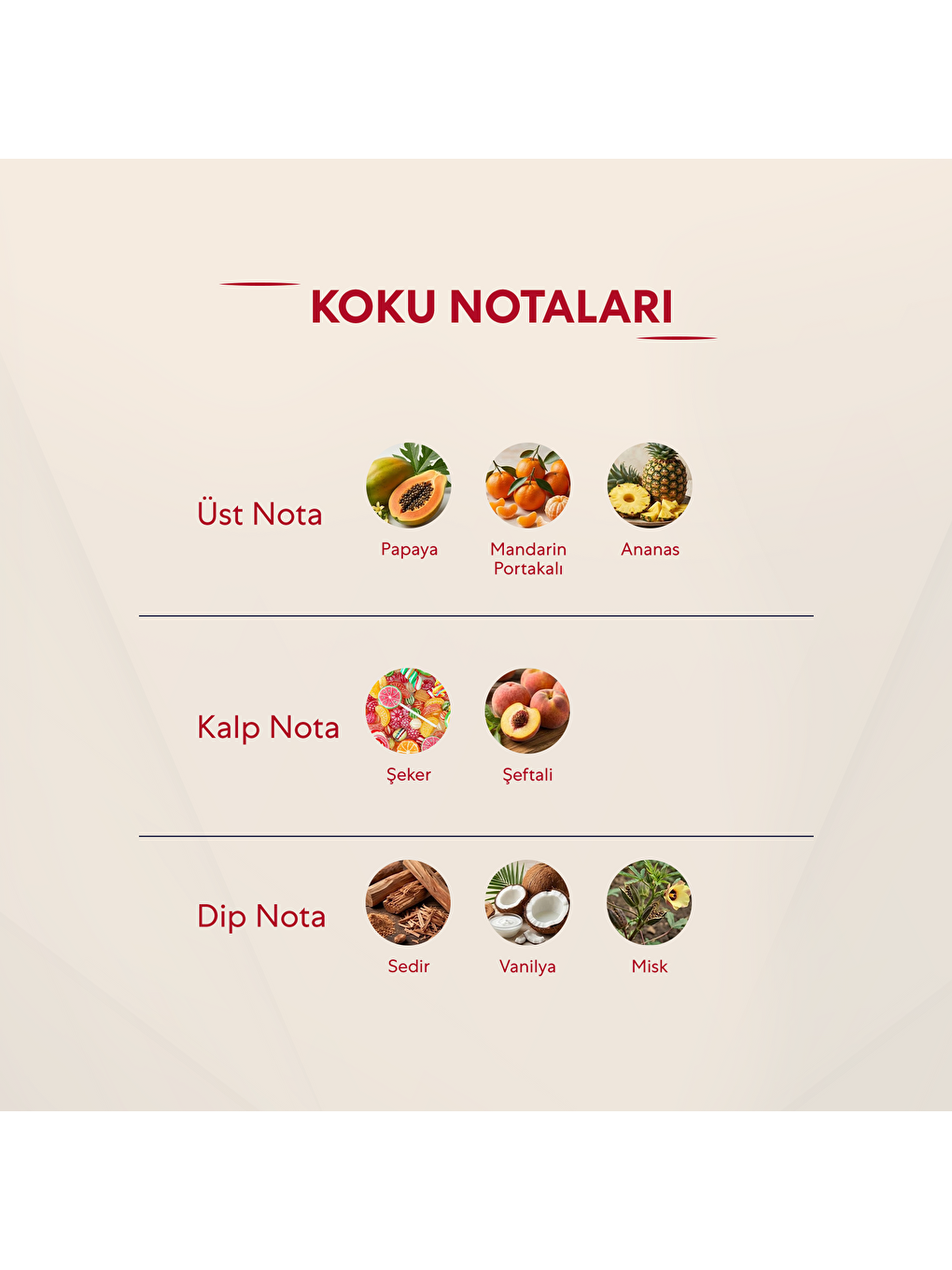 Kadın Parfüm Çiçeksi - 50ml Edp No:300-2