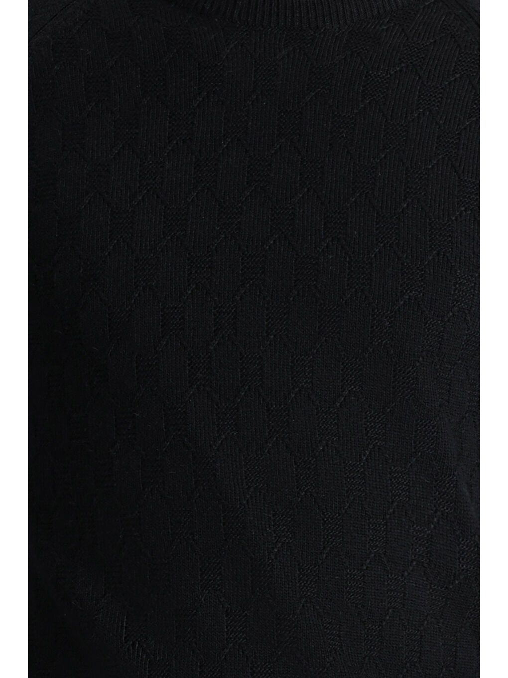 Siyah Bisiklet Yaka Regular Fit Desenli Triko Kazak-5