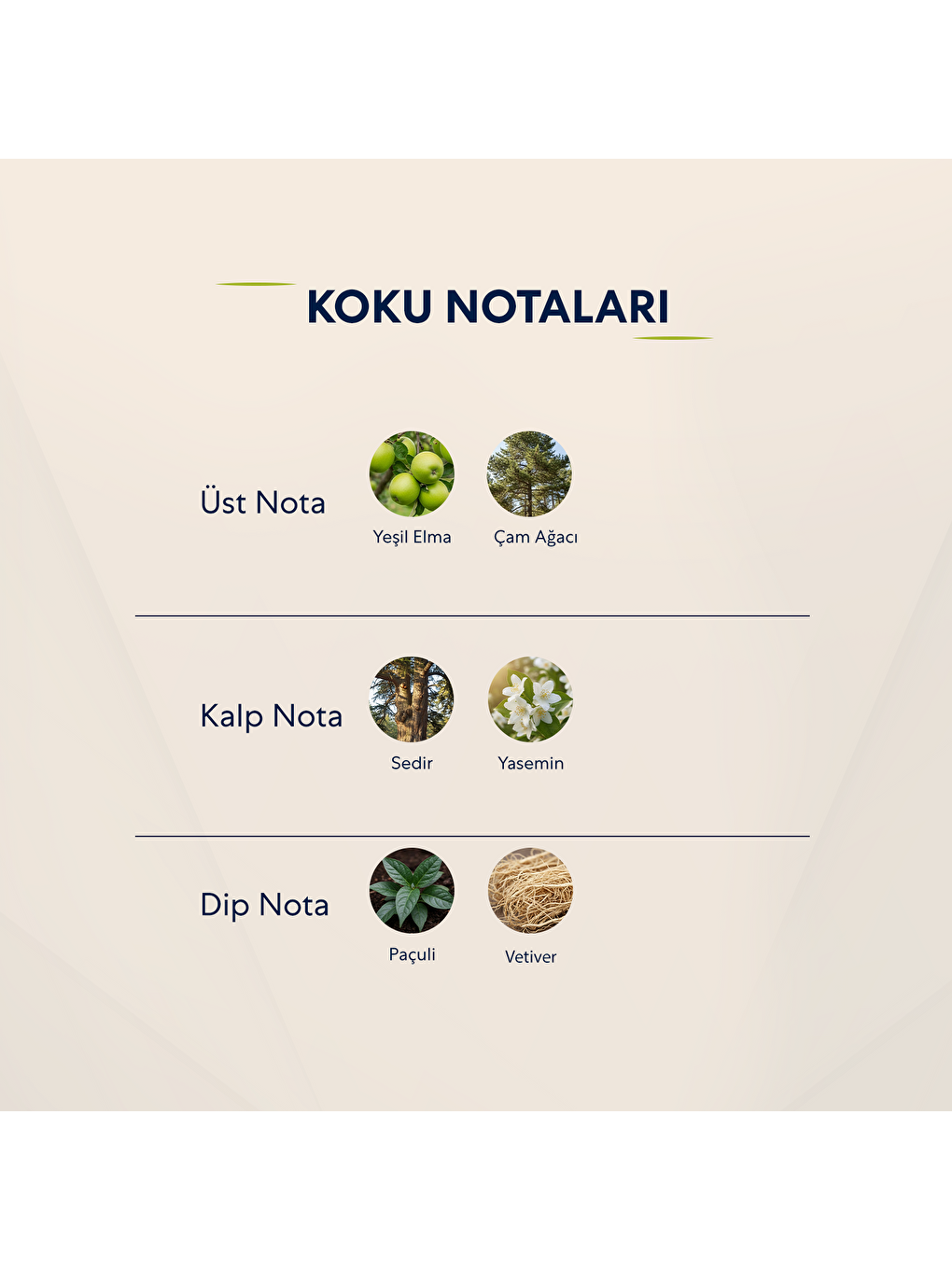 613 Erkek 50 Ml Parfüm Edp Fresh-2