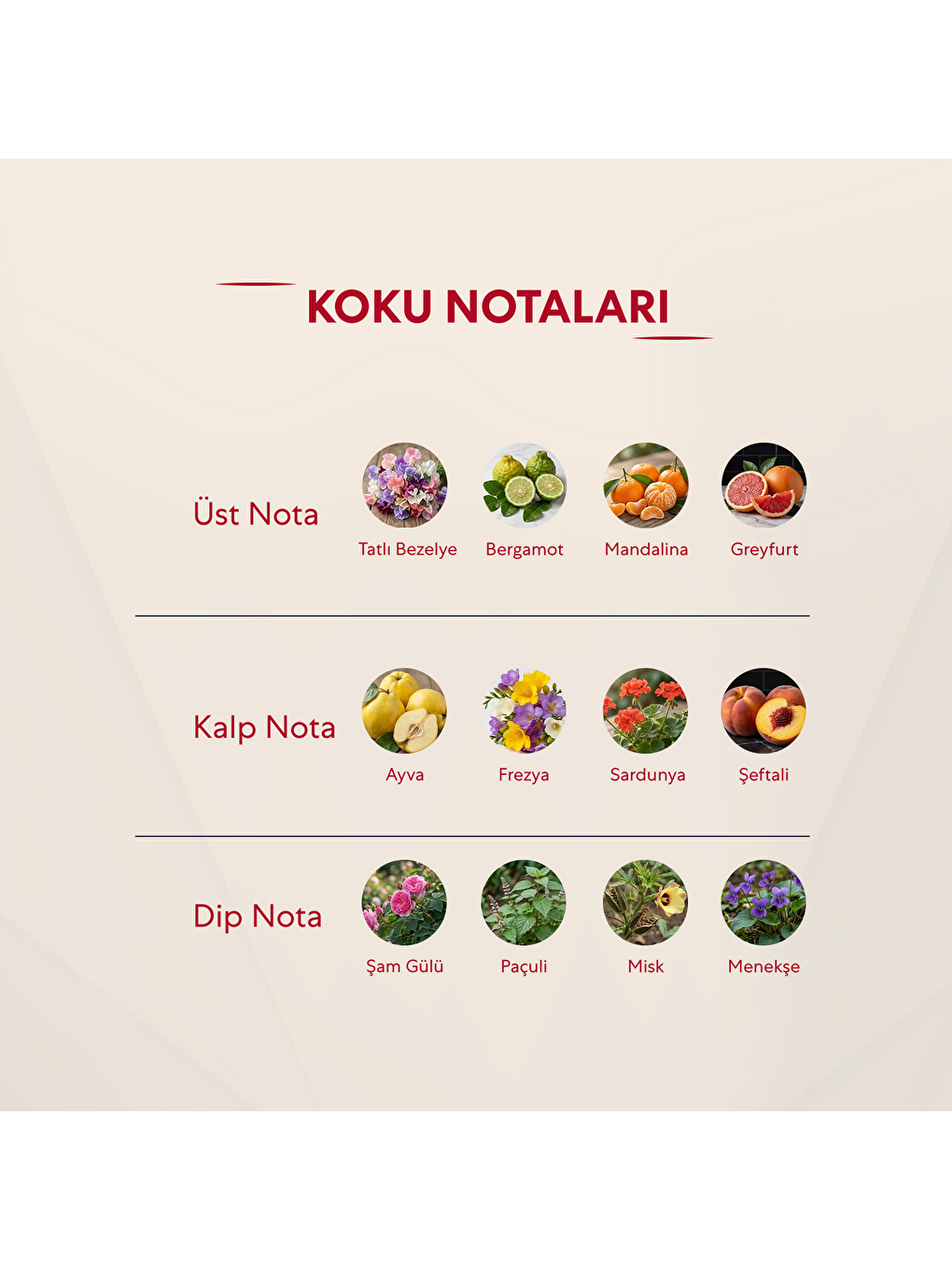 Kadın Parfüm Çiçeksi - 50ml Edp No:120B-1