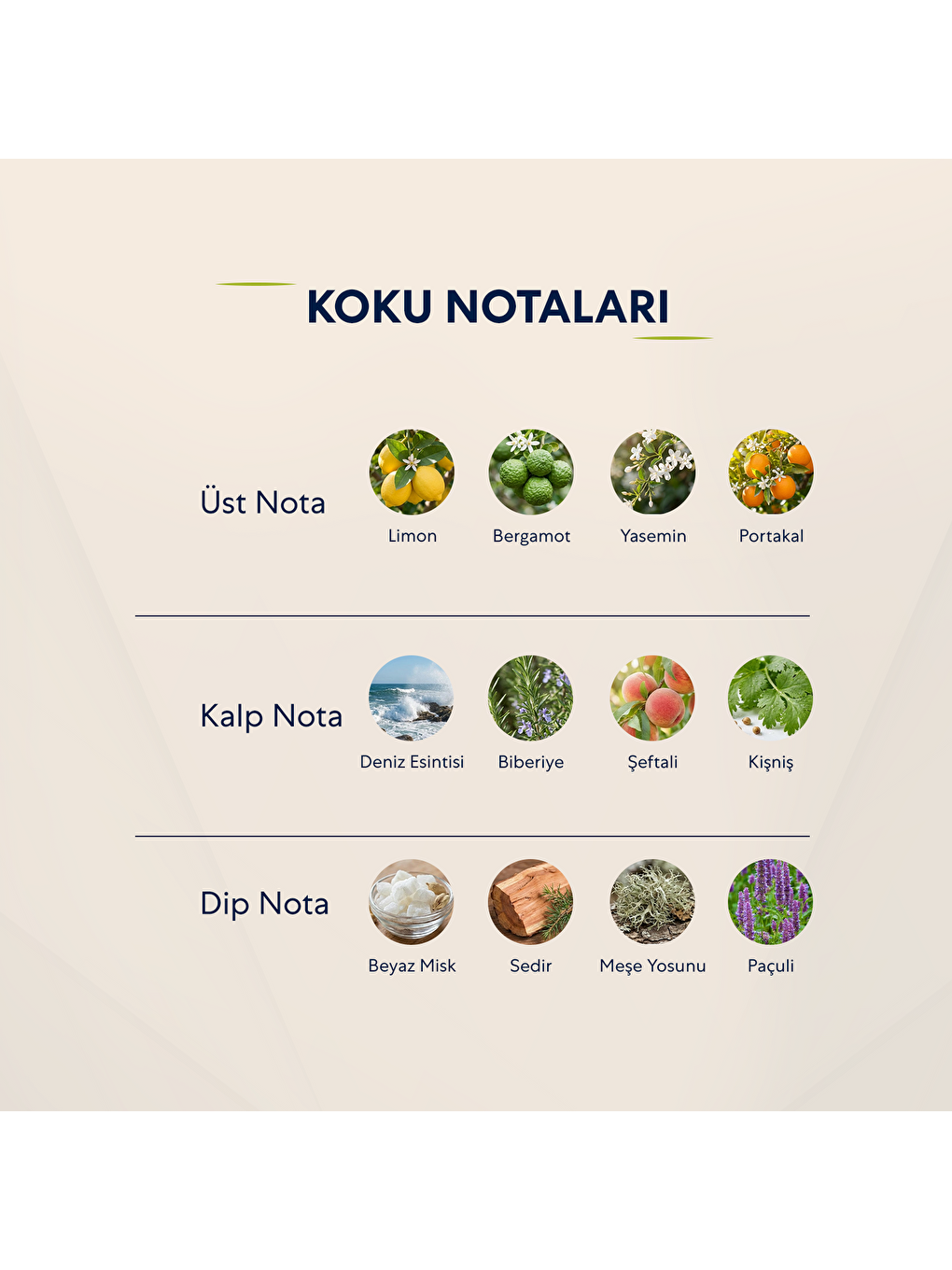 Erkek Parfüm Fresh 50ml No:509-2