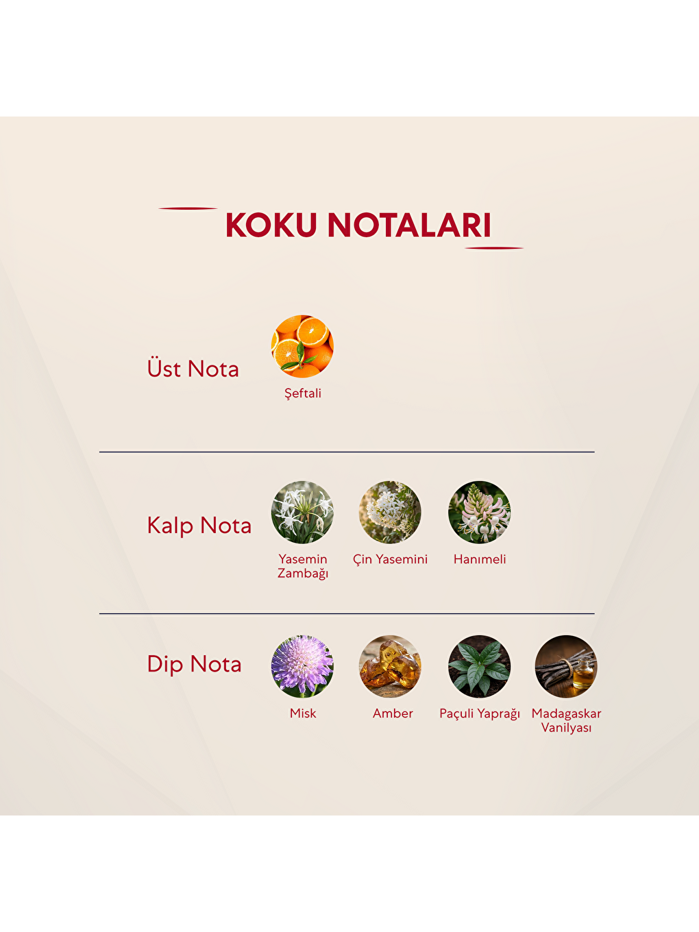 Kadın Parfüm Çiçeksi - 50ml Edp No:335-2