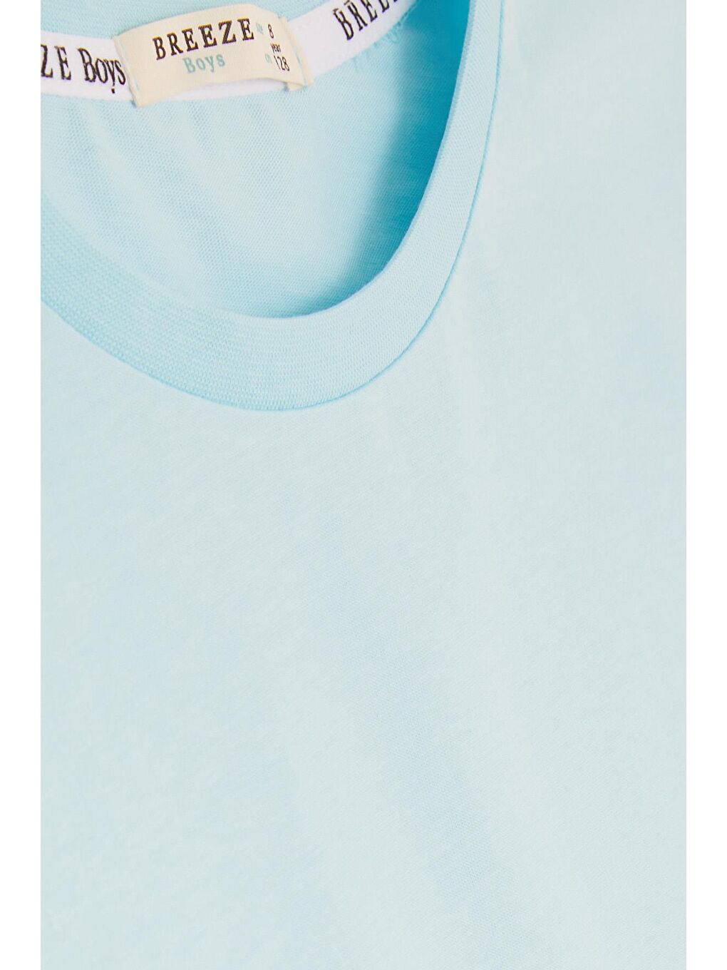 Erkek Çocuk Tişört Dinozor Baskılı Açık Mavi (5-10 Yaş)-4