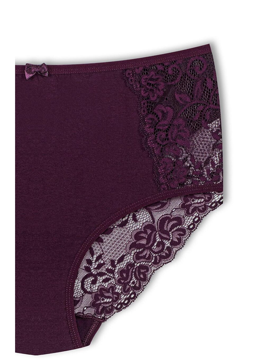 Mor Pamuklu Ön Yanlar ve Arka V Dantel Detay Yüksek Bel Büyük Beden Kadın Külot-2