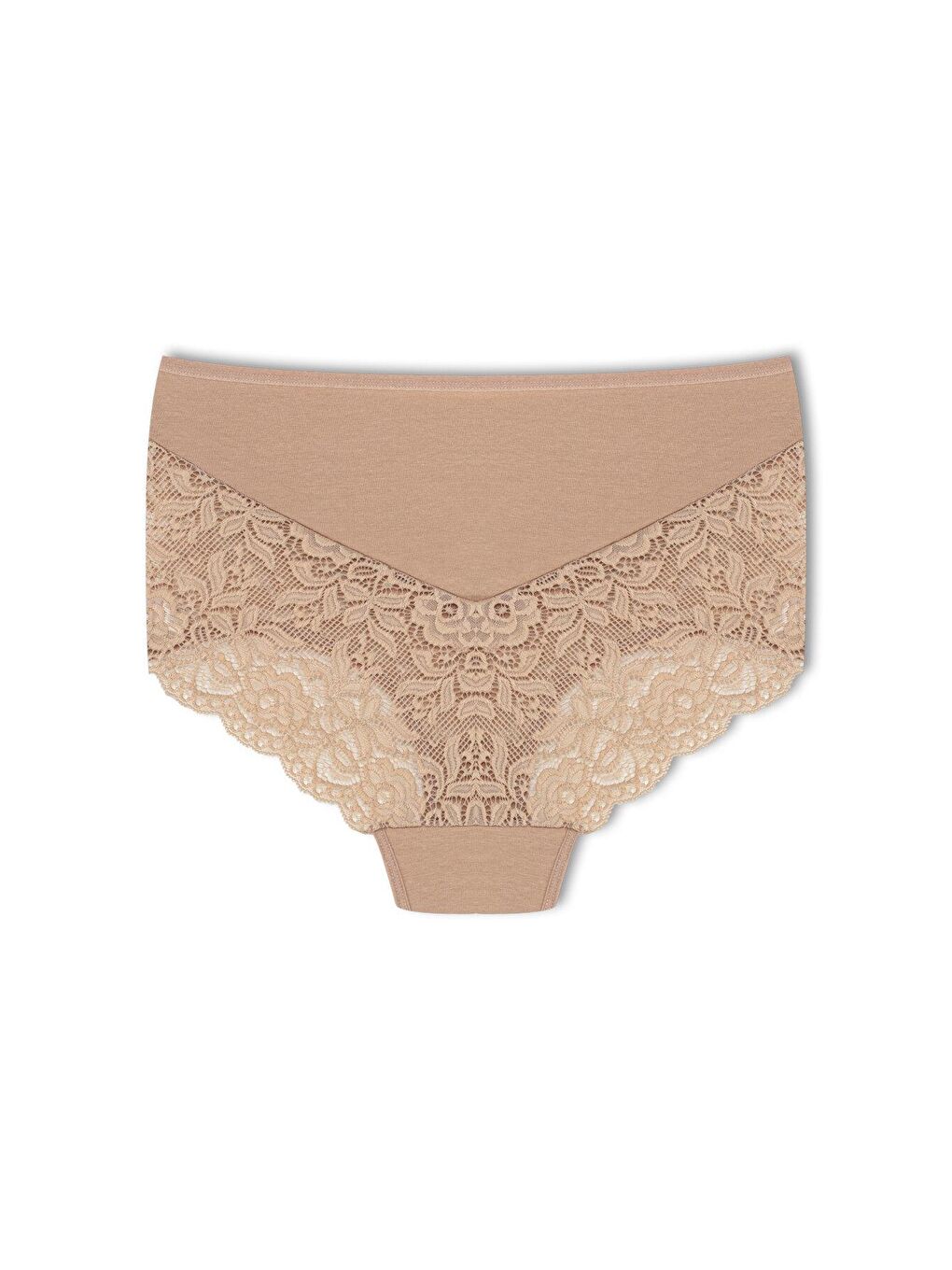 Karışık Pamuklu Arkası ve Önü V Dantel Yüksek Bel Büyük Beden Kadın Külot 7'li-3