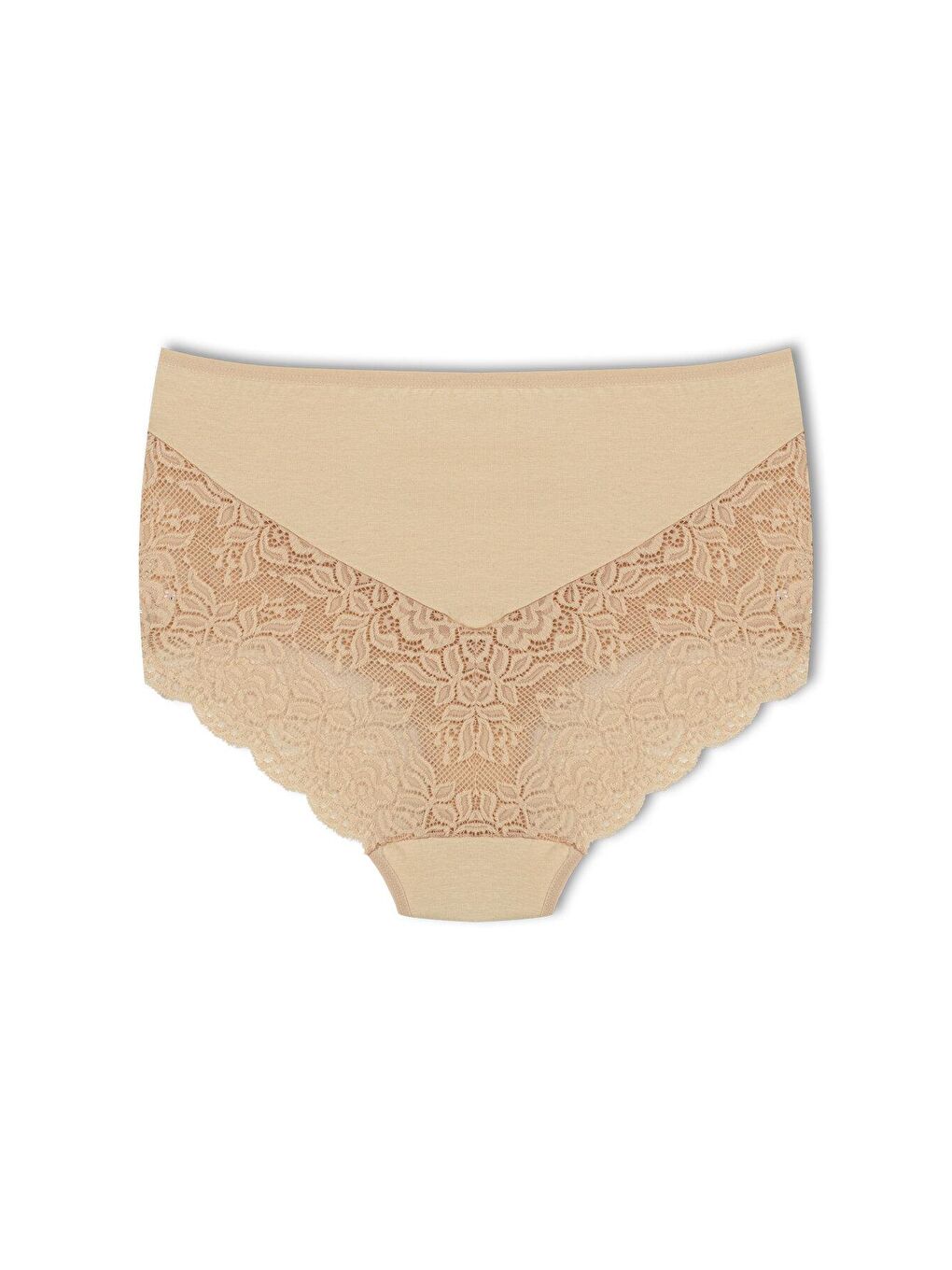 Karışık Pamuklu Arkası ve Önü V Dantel Yüksek Bel Büyük Beden Kadın Külot 7'li-3