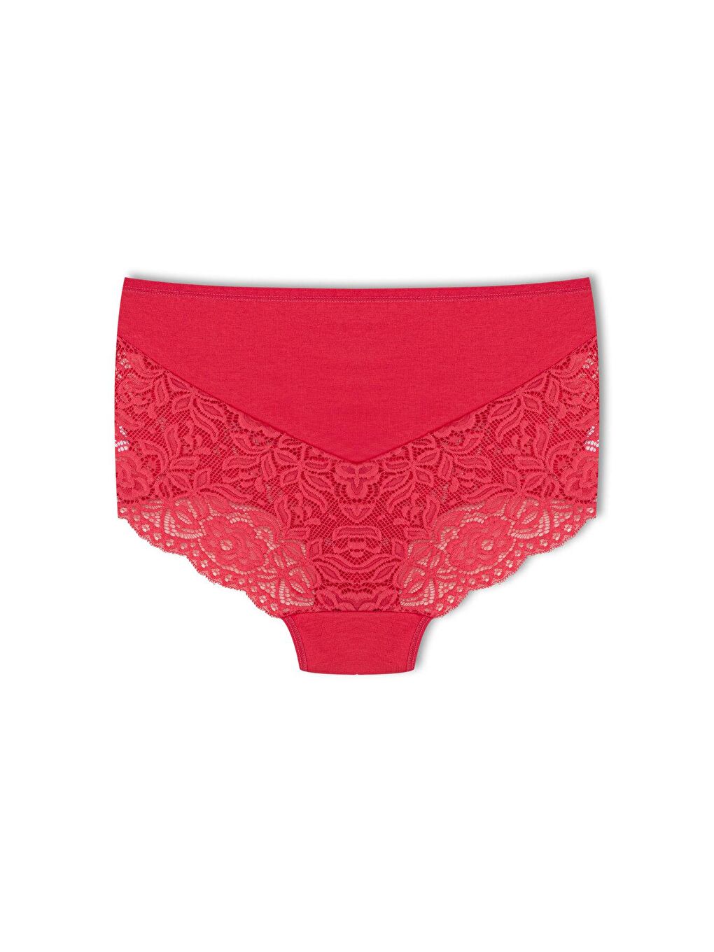 Petrol Pamuklu Arkası ve Önü V Dantel Yüksek Bel Büyük Beden Kadın Külot 2'li-3