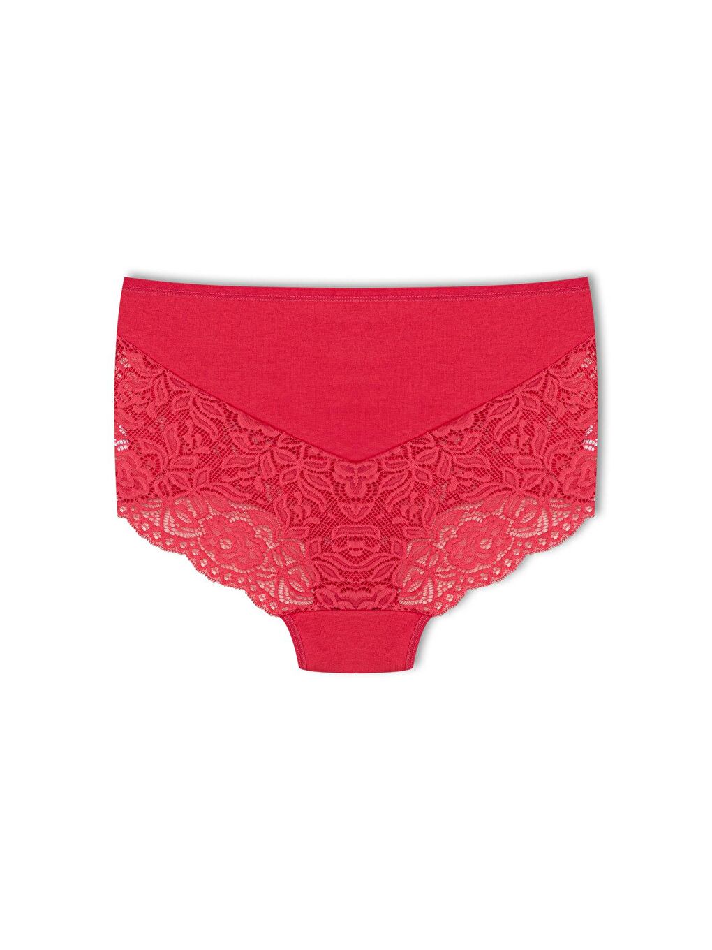 Karışık Pamuklu Arkası ve Önü V Dantel Yüksek Bel Büyük Beden Kadın Külot 3'lü-3