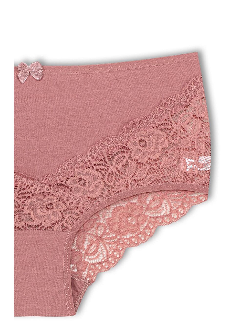 Bej Pamuklu Arkası ve Önü V Dantel Yüksek Bel Büyük Beden Kadın Külot-2