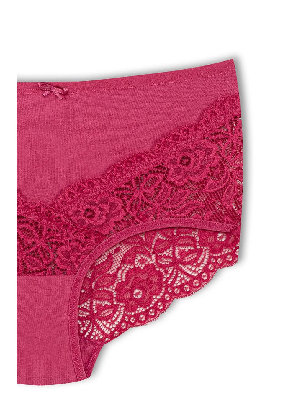 Mürdüm Pamuklu Arkası ve Önü V Dantel Yüksek Bel Büyük Beden Kadın Külot-2