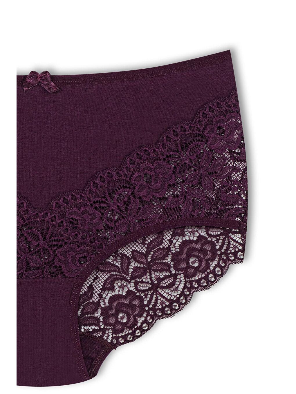 Mor Pamuklu Arkası ve Önü V Dantel Yüksek Bel Büyük Beden Kadın Külot-2