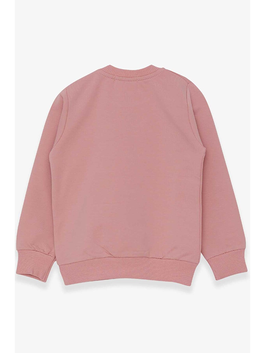 Pembe Kız Çocuk Sweatshirt Simli Kedicik Baskılı Gülkurusu (1.5-5 Yaş)-1