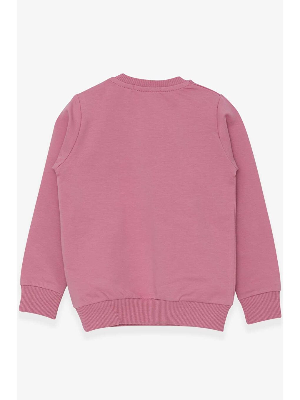 Breeze Gülkurusu Kız Bebek Sweatshirt Tavşancık Nakışlı Pullu Gülkurusu (1.5 Yaş) - 1