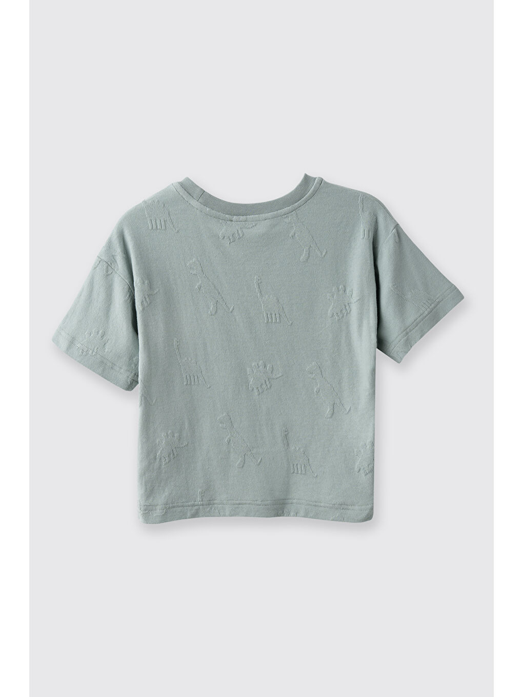 Erkek Bebek Dinozor Jakarlı Yeşil Tişört-1