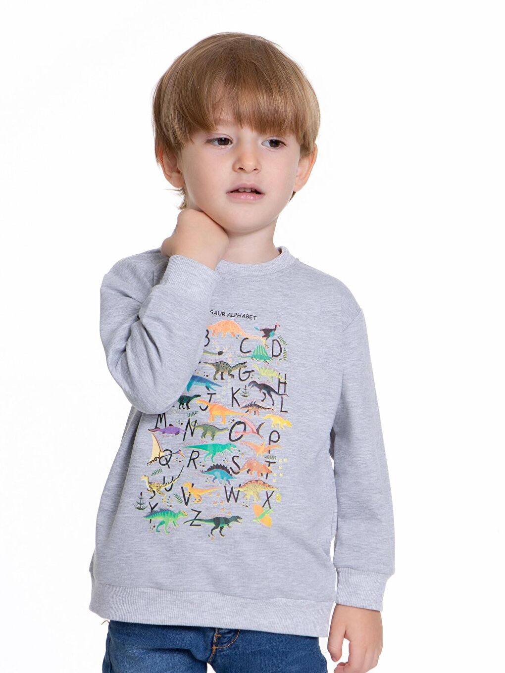 Myhanne Gri Dinozor Baskılı Erkek Bebek Sweatshirt 54264 - 1