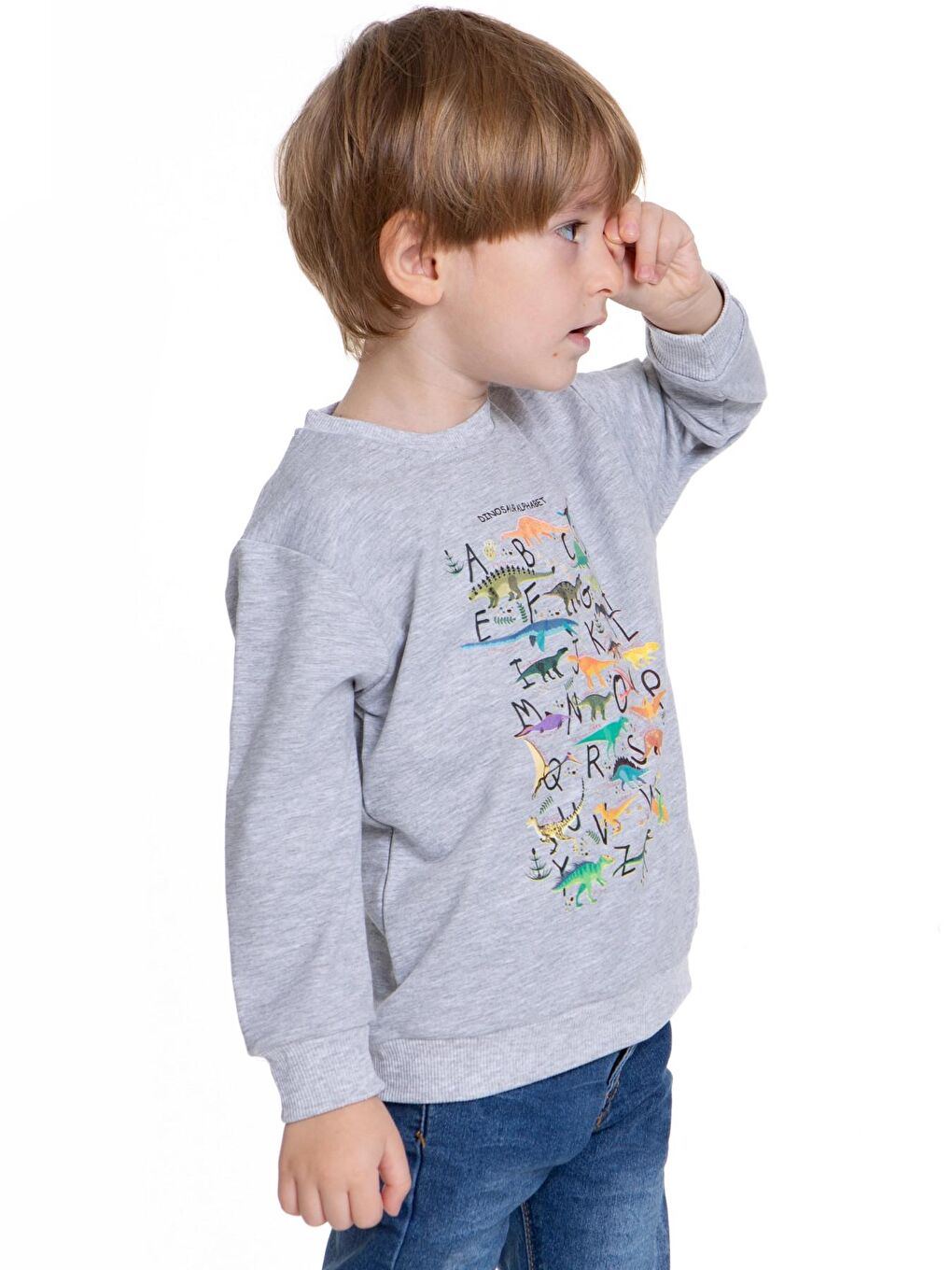 Myhanne Gri Dinozor Baskılı Erkek Bebek Sweatshirt 54264 - 2