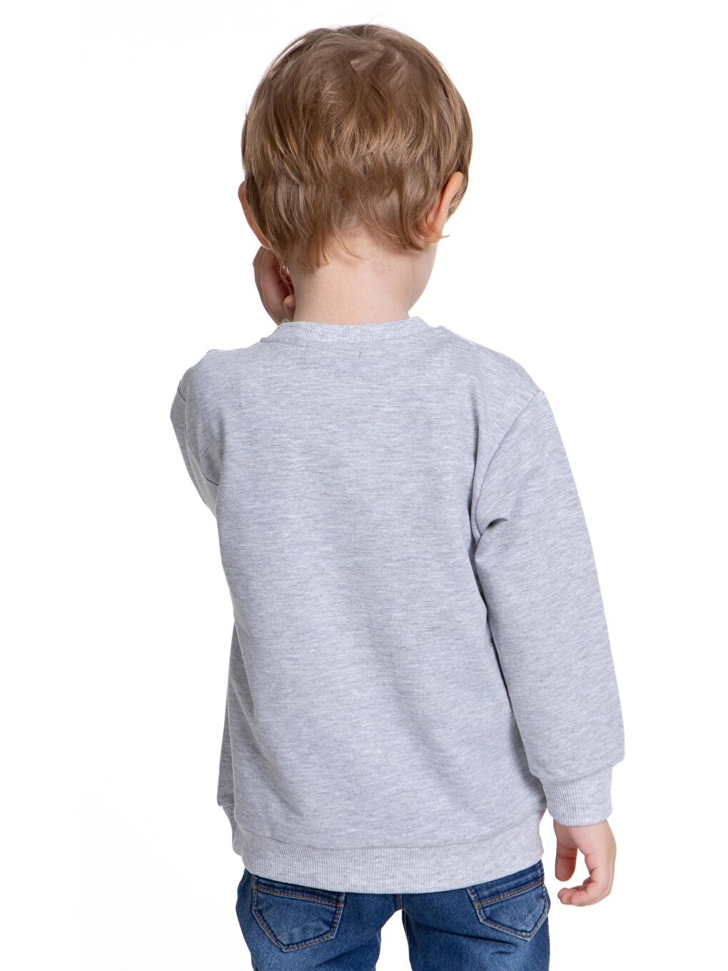 Myhanne Gri Dinozor Baskılı Erkek Bebek Sweatshirt 54264 - 4