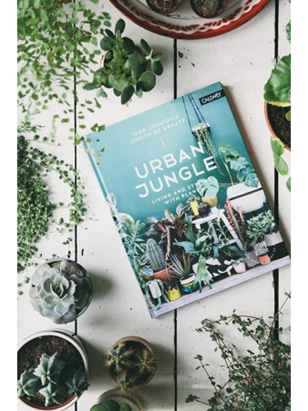 New Obsessions Yeşil Urban Jungle Kitap Kutu - 2