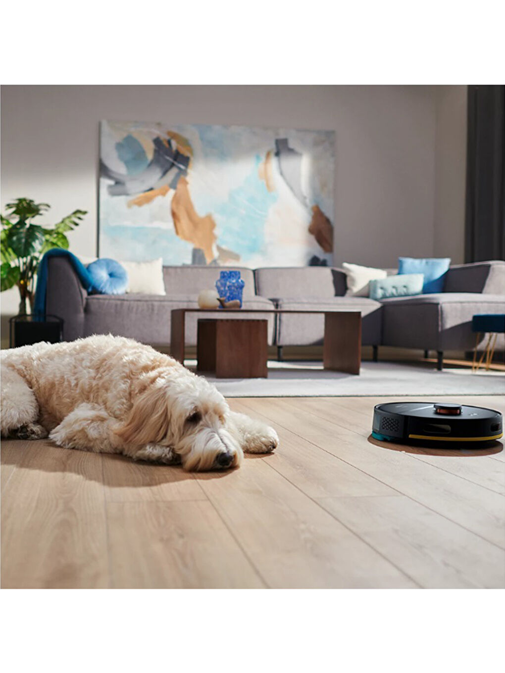 HomeRun 2000 Serisi Serisi Aqua Akıllı Robot Süpürge XU2000/10-11