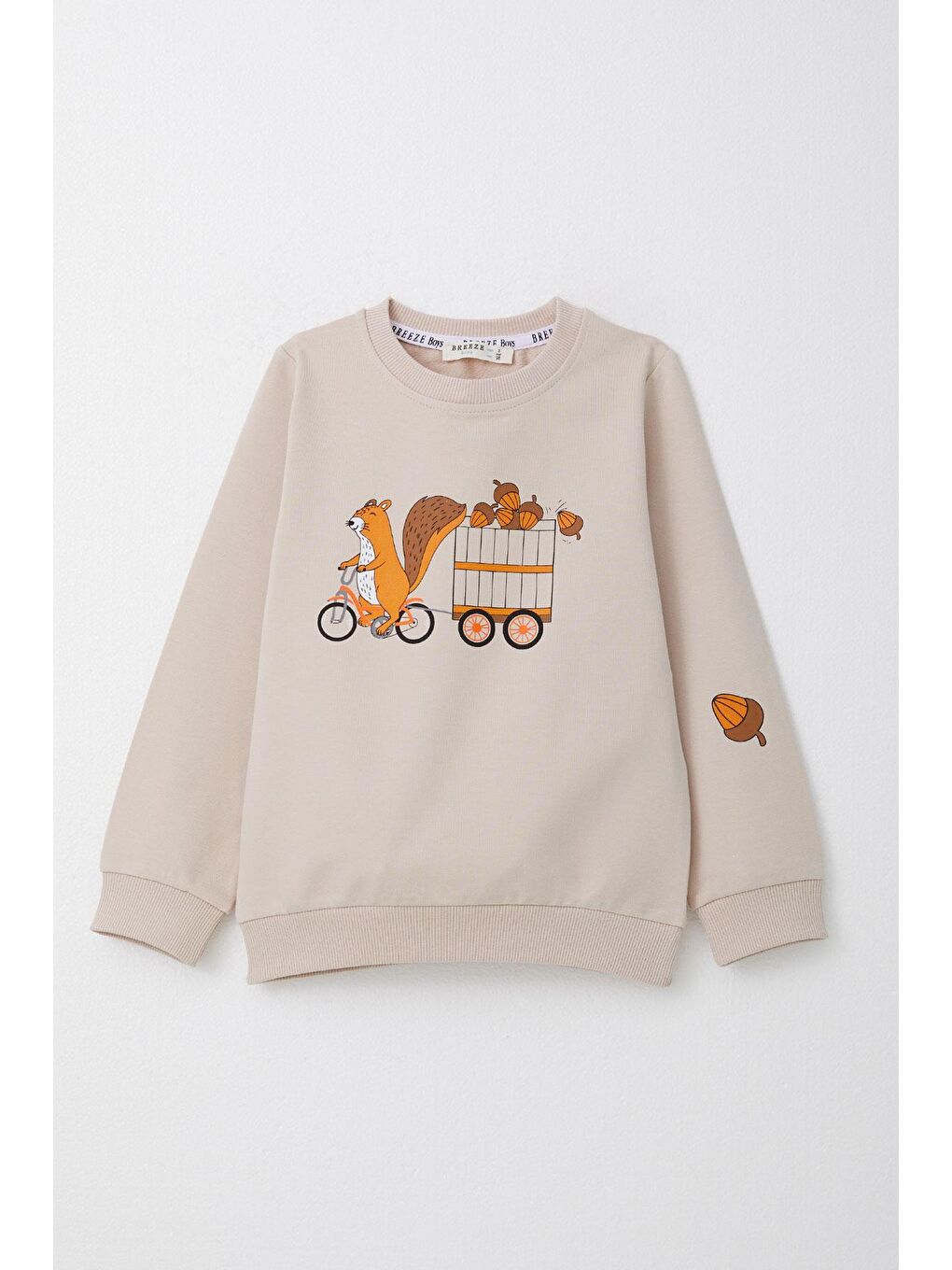 Erkek Bebek Eşofman Takım Sevimli Sincap & Meşe Palamudu Baskılı Bej (1 Yaş)-3