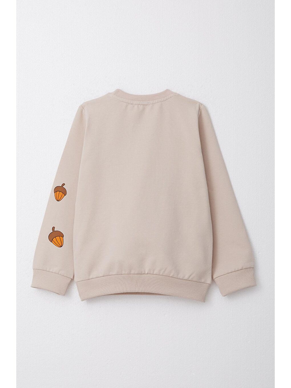 Erkek Bebek Eşofman Takım Sevimli Sincap & Meşe Palamudu Baskılı Bej (1 Yaş)-5