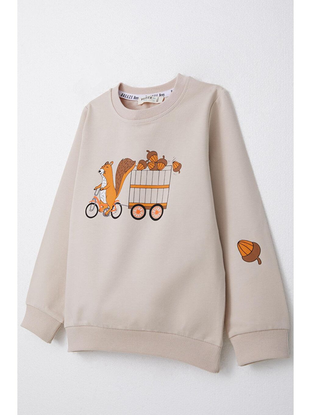 Erkek Bebek Eşofman Takım Sevimli Sincap & Meşe Palamudu Baskılı Bej (1 Yaş)-7