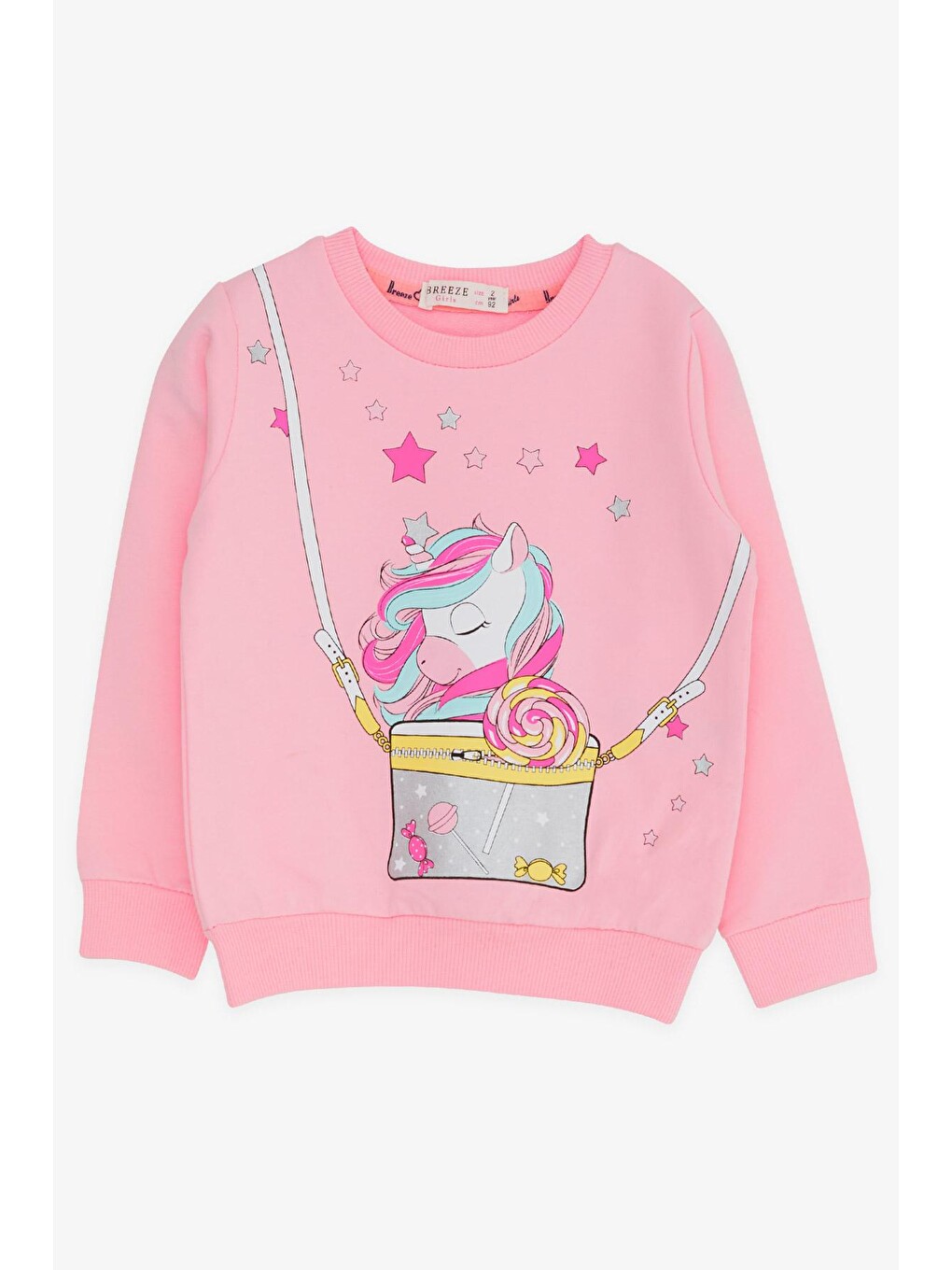 Pembe Kız Bebek Sweatshirt Pudra (2 Yaş)