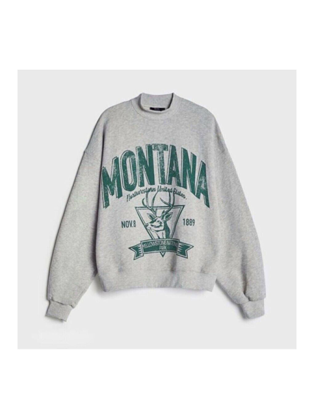 Gri Twentyone GRİ Kadın Montana Oversize Sweatshirt Hoodie-1
