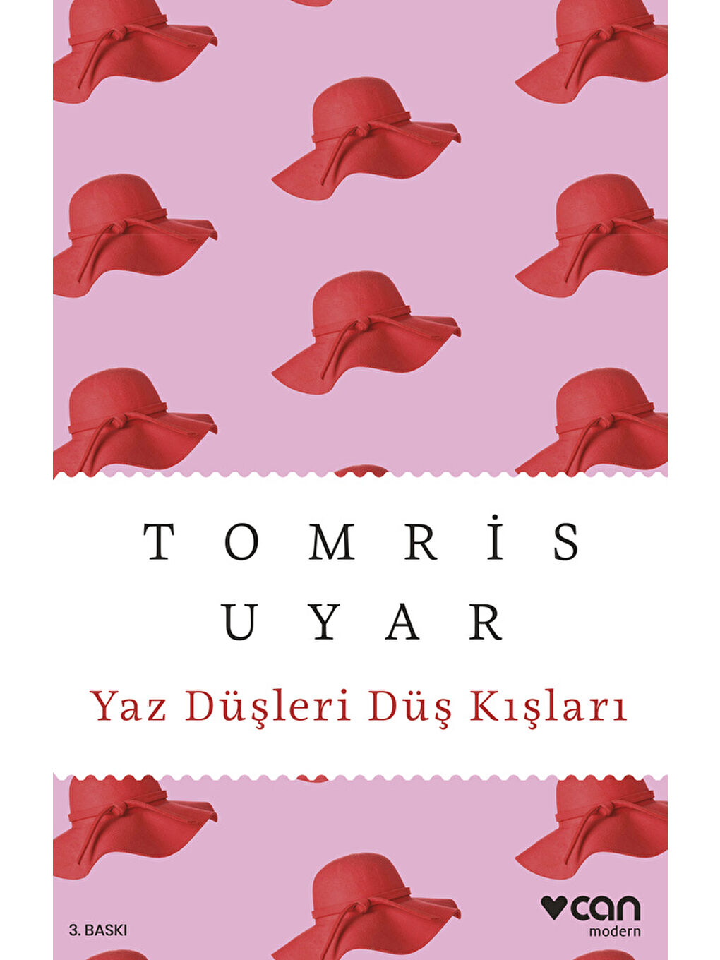 Yaz Düşleri Düş Kışları