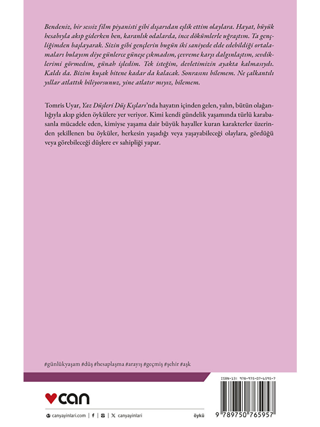 Yaz Düşleri Düş Kışları-2