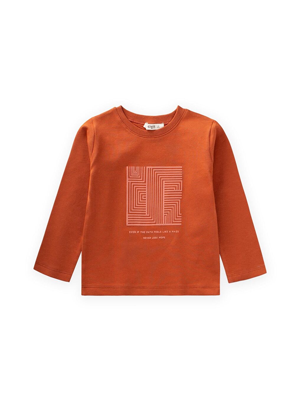 Kahverengi Baskılı Sweatshirt 2-10 Yaş Kiremit