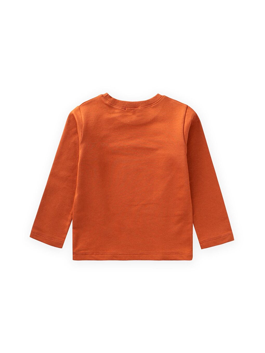 Kahverengi Baskılı Sweatshirt 2-10 Yaş Kiremit-1