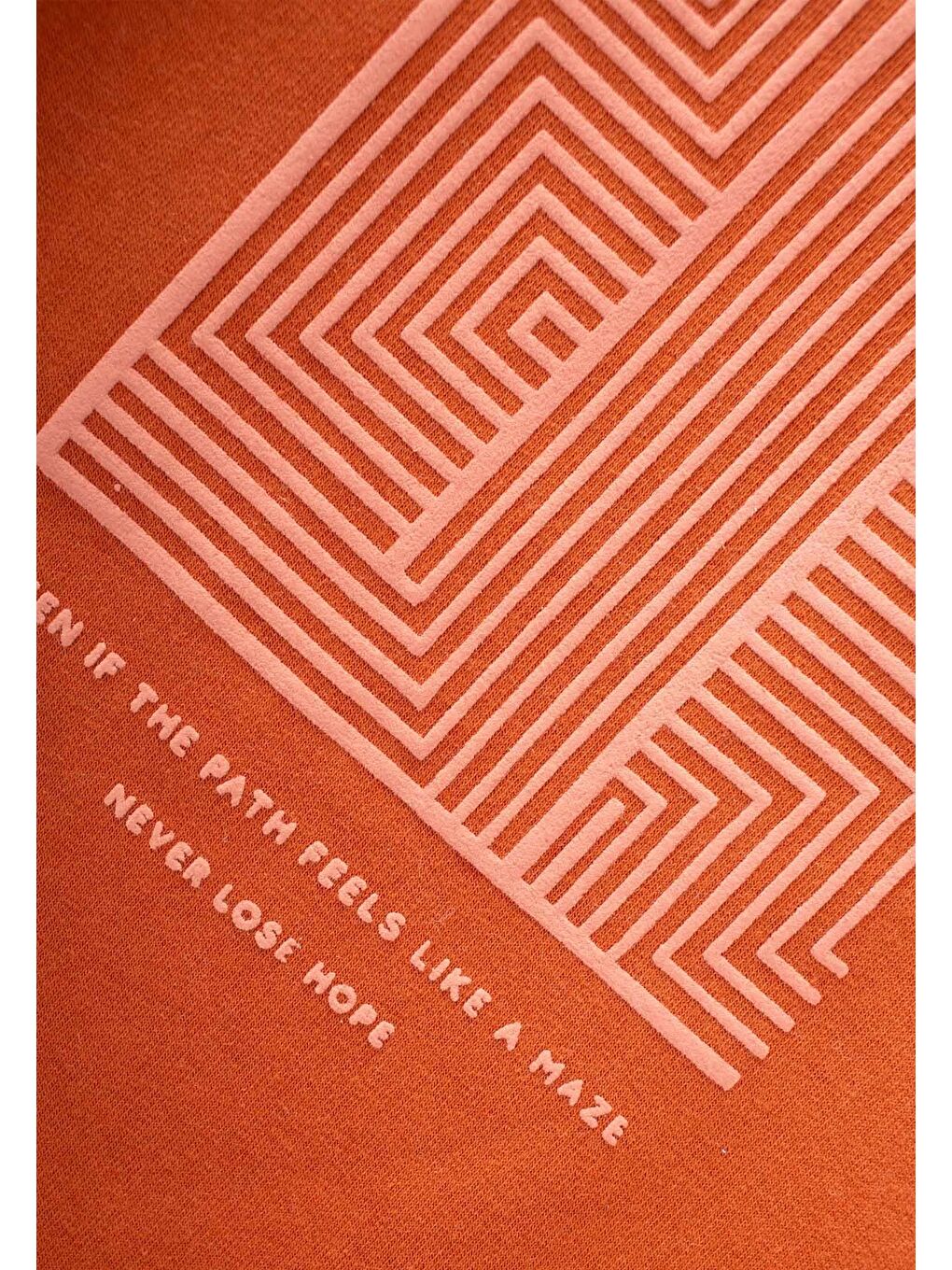 Kahverengi Baskılı Sweatshirt 2-10 Yaş Kiremit-2