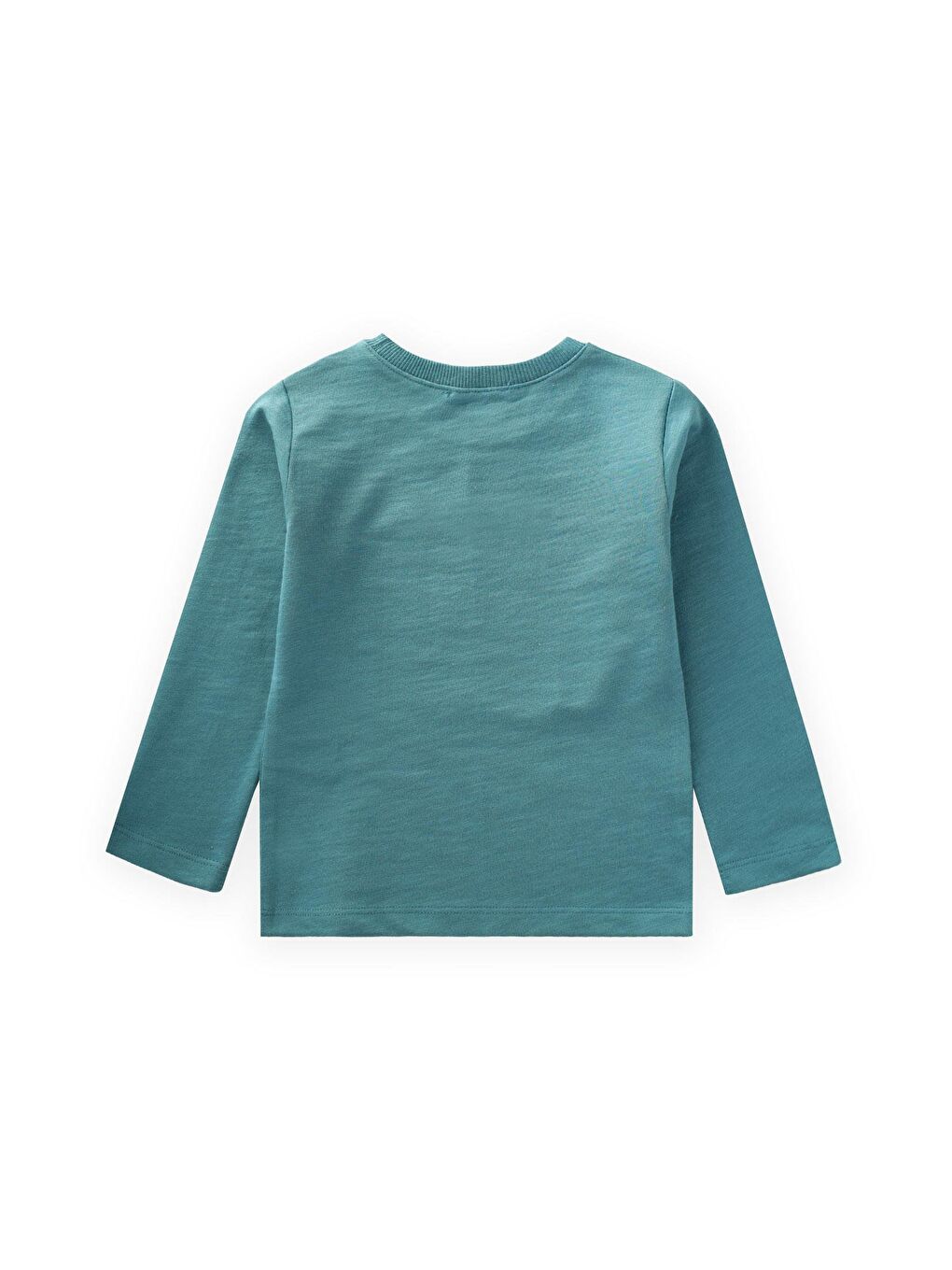 Baskılı Sweatshırt 2-10 Yaş Turkuaz-1